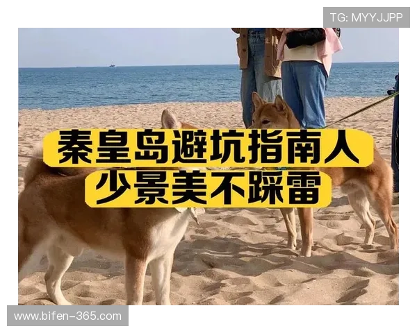足球竞猜模拟器避坑指南大型赛事预热必看 足球竞猜模拟器避坑指南大型赛事预热必看